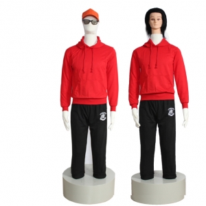 仿真心理宣泄人的主要功能、产品特点、产品配置