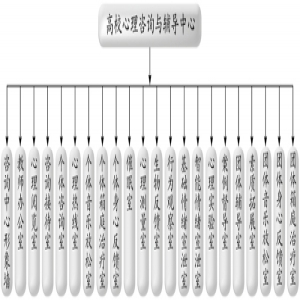 学校心理咨询与辅导中心来访者须知