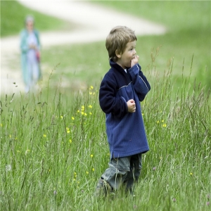 亲子教育心理辅导有哪些技巧