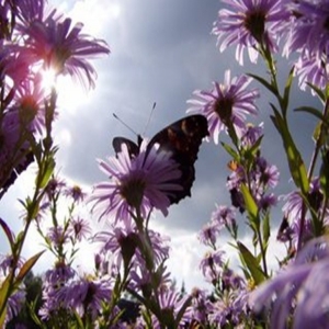 人生需要规划-人生规划_心理百科
