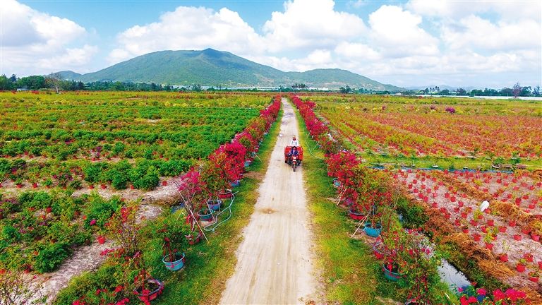 青少年有恋母情结要如何改变？(图1)