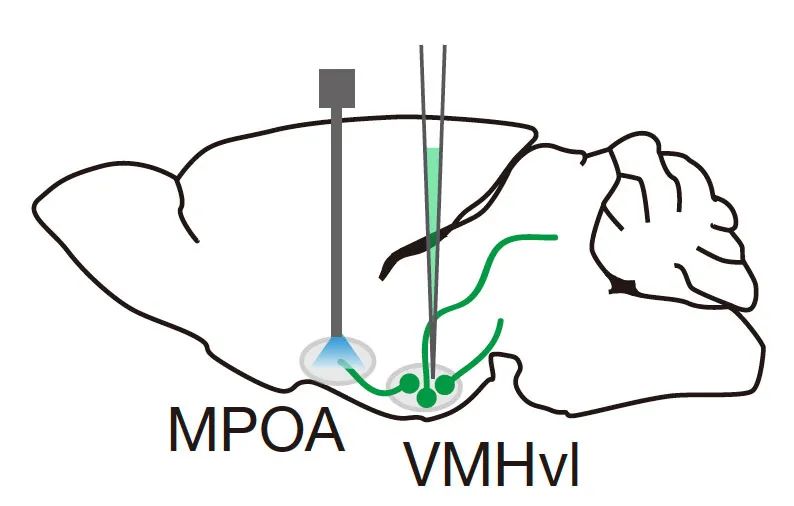 爱恨的距离只在一线之间 (图1)